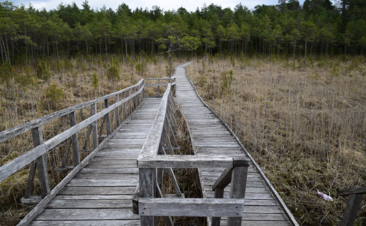 34_Juodlės pažintinis (1).jpg